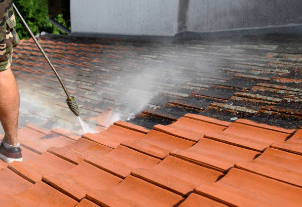 Roof Power Washing Services in North Ridgeville, OH